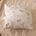 43001A18346-KC_0