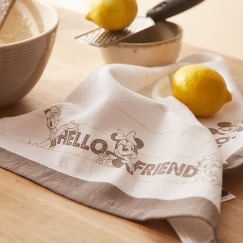 Repasador Hello Friends Mickey