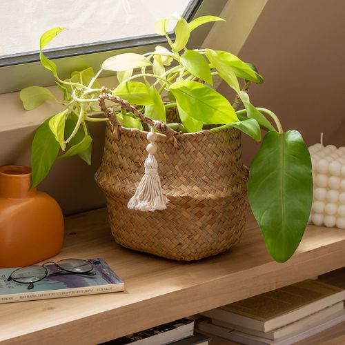 Contenedor Decorativo Grande Tejido Zigzag con Borlas