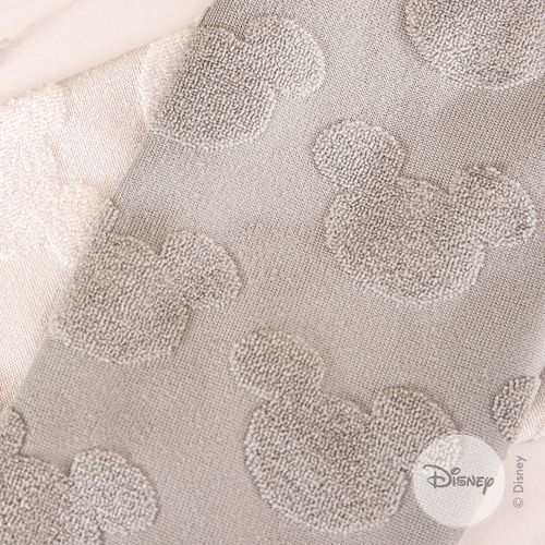 Set de 2 Repasadores Disney Textura Mickey