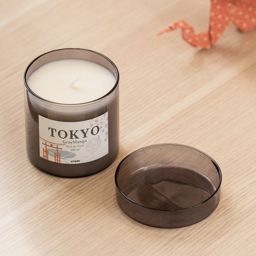 Vela Chica Tokyo Gray Mango