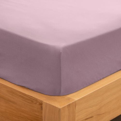 Sábana Ajustable Queen Algodón Blend Lisa