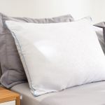 Almohada-1-Plaza-Vellon-Siliconado