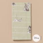 Repasador-Friends-Fun-Mickey