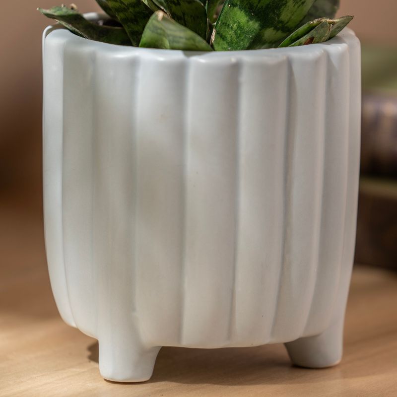 Maceta--de-Ceramica-Con-Pie-Textura-Lineas-