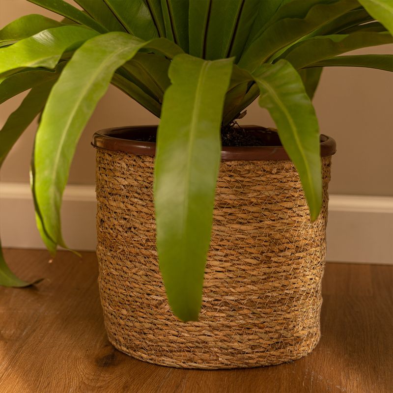 Contenedor-Mamushka--22-x-22-cm