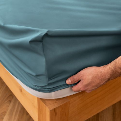 Sábana Ajustable King Algodón Blend Lisa