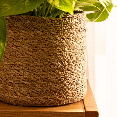 Contenedor Mamushka 17 x 16 cm