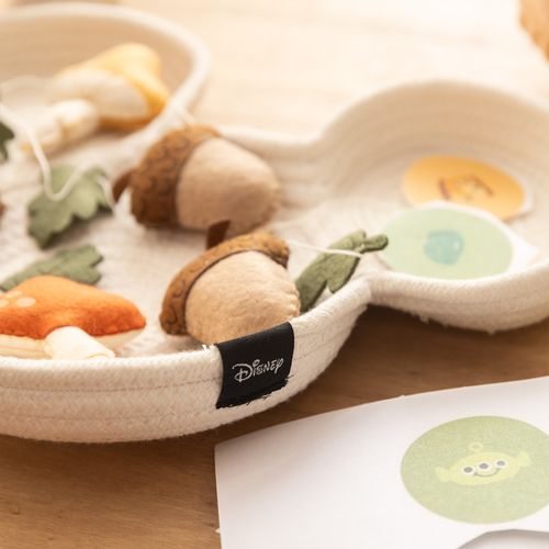 Bandeja Decorativa Mickey