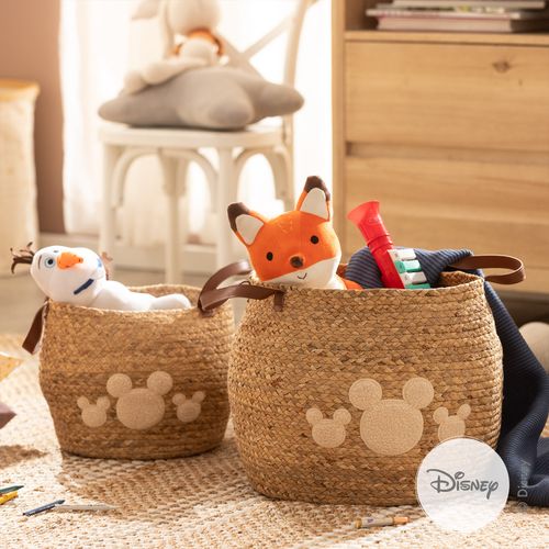 Contenedor con Manijas Grande Mickey