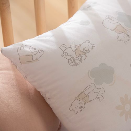 Almohadón Infantil Winnie Pooh Arco Iris