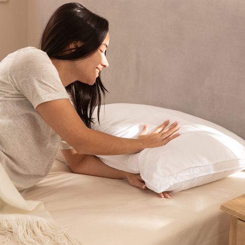 Almohada 1 Plaza Silver 3D