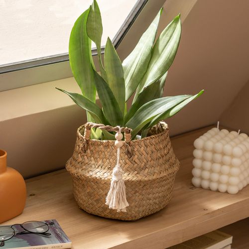 Contenedor Decorativo Mediano Tejido Zigzag con Borlas