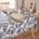 10033U11719-Z_0