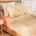 10033U08245-RC_0
