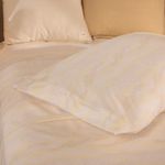 10033U18449-WC_1