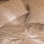 10034K00562-MV_4