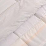 20021T00279-VC_1